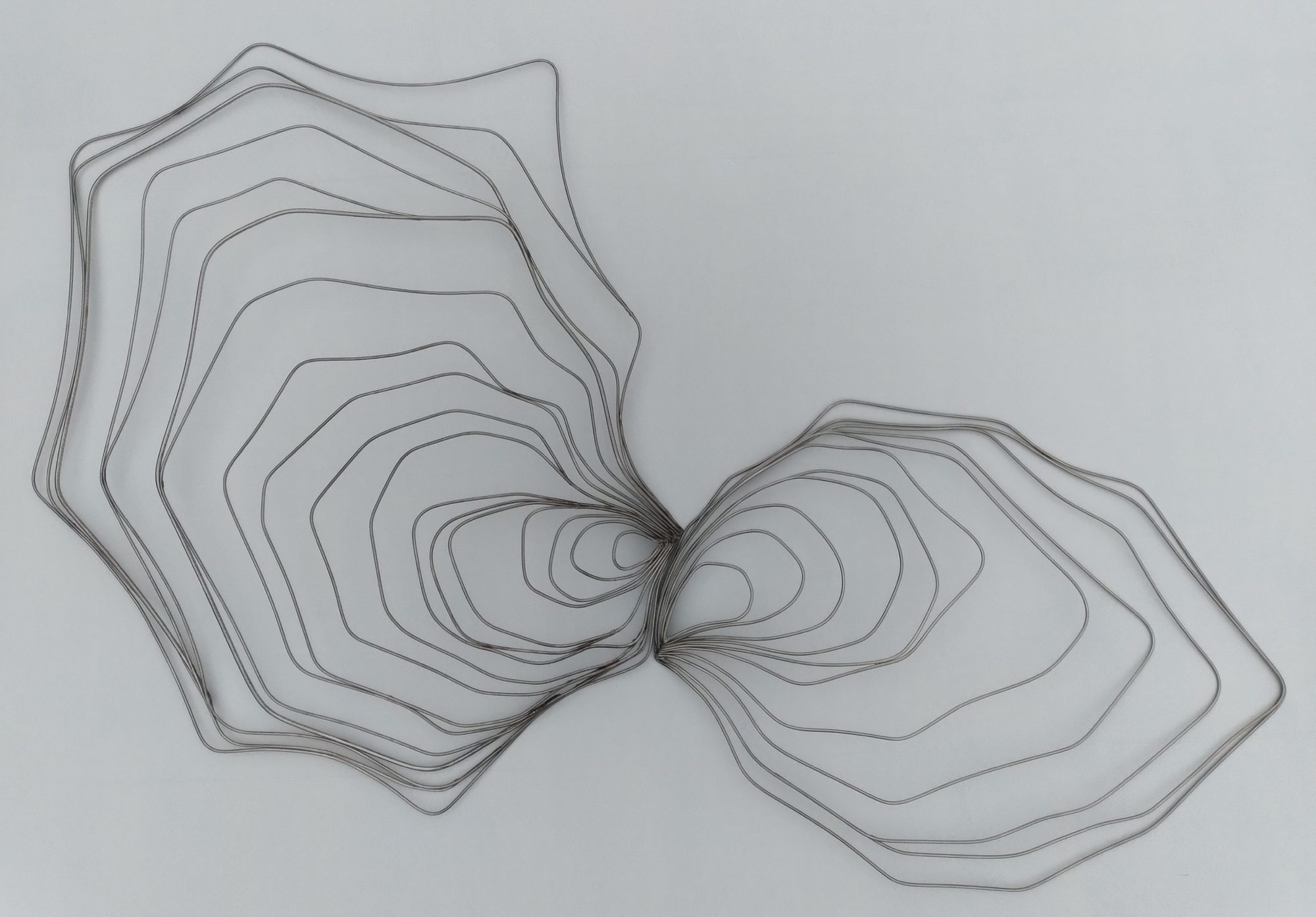 Bent contours. Steel wire, two nested forms on a pale wall.